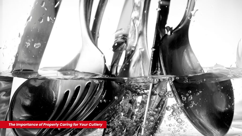 The Importance of Properly Caring for Your Cutlery