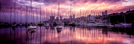 Matt Pearson Rushcutters Bay Sunrise | King Of Knives Australia