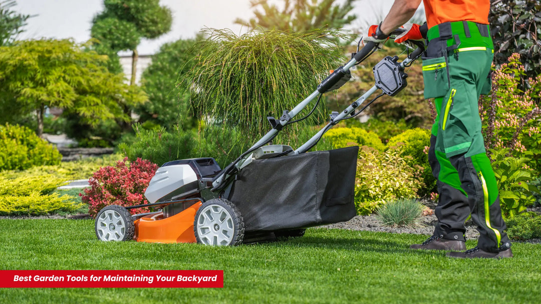 Best Garden Tools for Maintaining Your Backyard