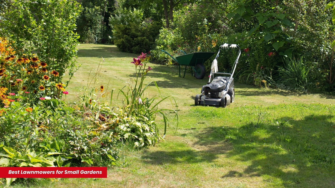 Best Lawnmowers for Small Gardens