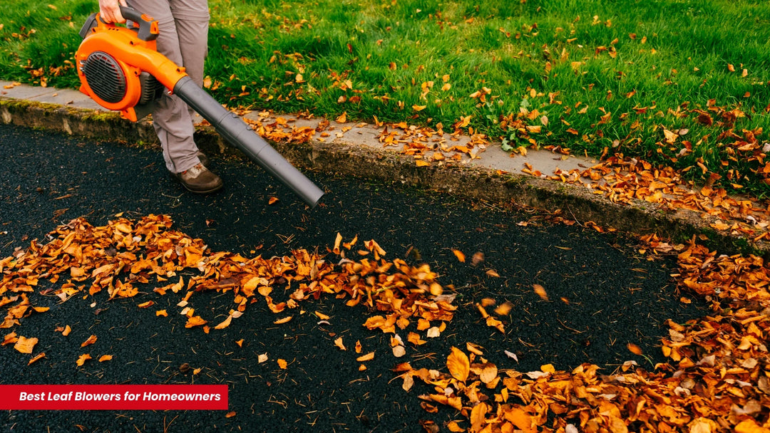 Best Leaf Blowers for Homeowners