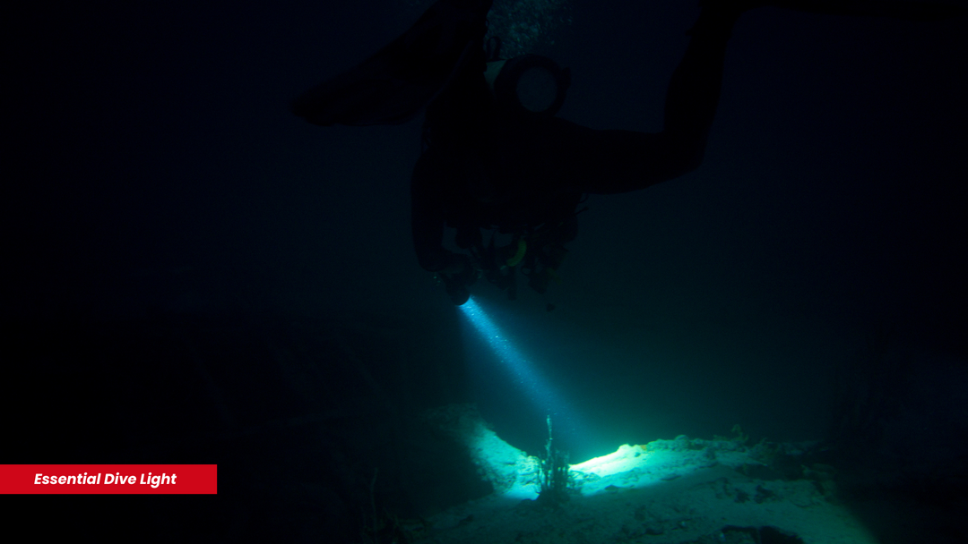 Essential Dive Light eLED Diver's Light | King of Knives e-Store