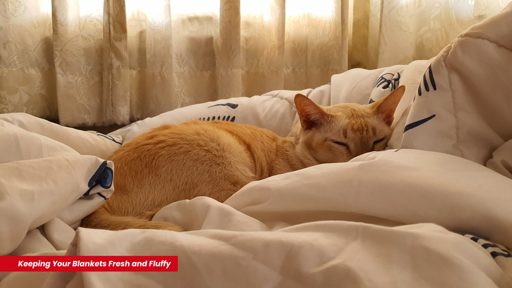Keeping Your Blankets Fresh and Fluffy