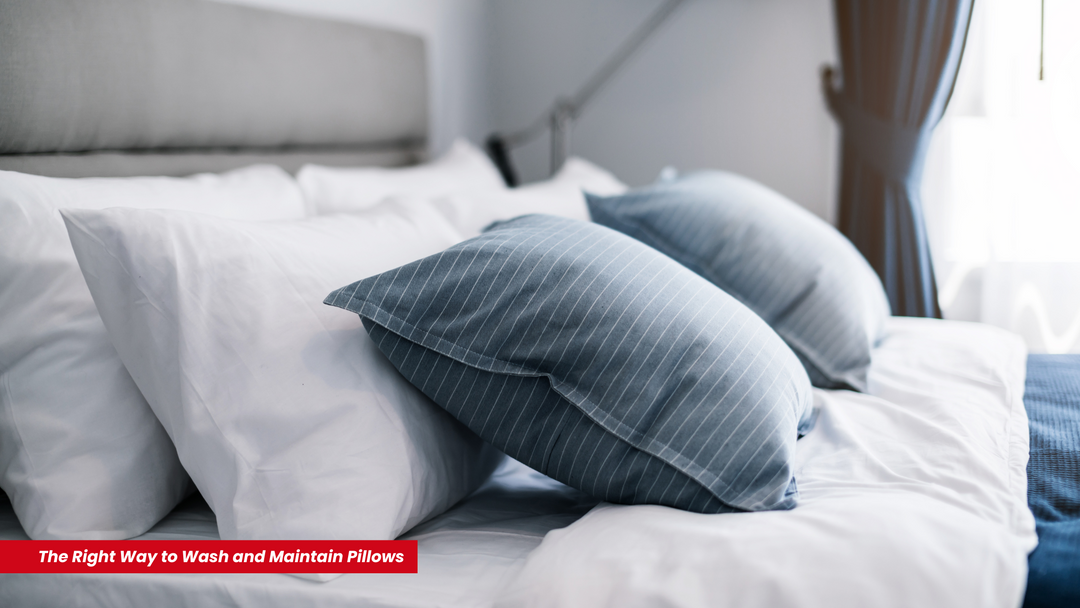 The Right Way to Wash and Maintain Pillows | King of Knives e-store Australia