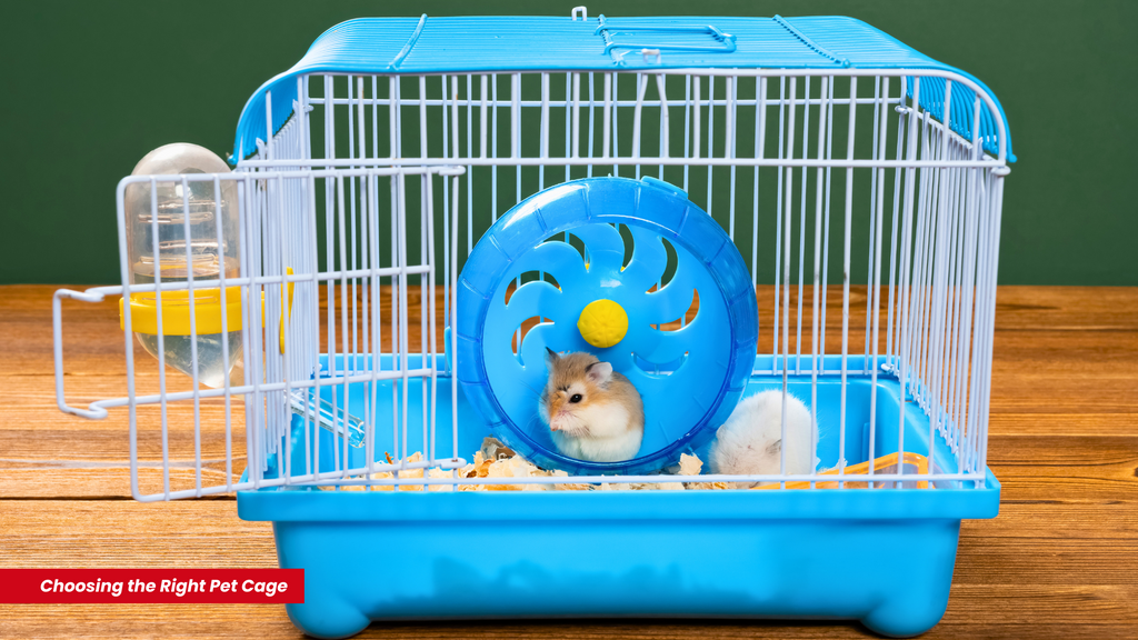 Choosing the Right Pet Cage: Size, Material and Setup Tips for First-Time Pet Owners