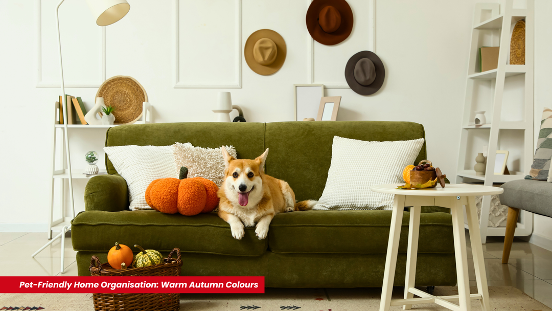 Pet-Friendly Home Organisation: Warm Autumn Colours