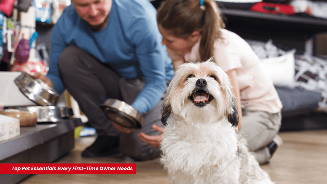 a cute Shih Tzu with its owner buying pet essentials