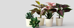 01_Artificial Plants
