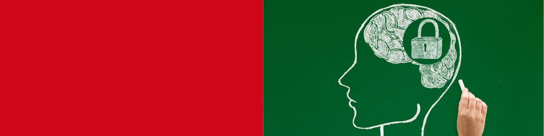 Gift Ideas for Eco Minded