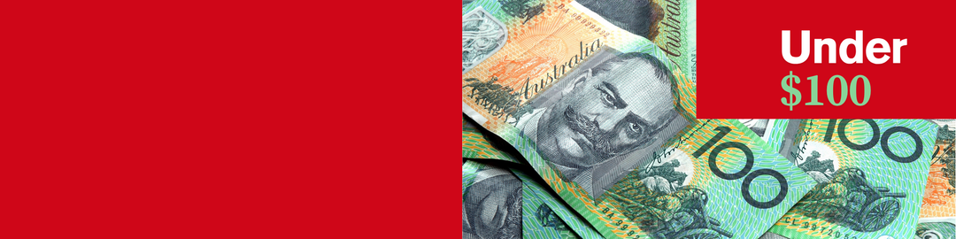 Gift Ideas under $100