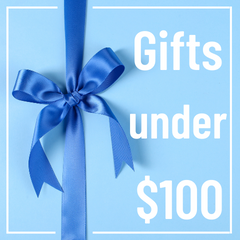 Gift Ideas under $100