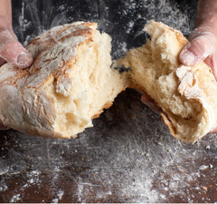 Home Appliances   - Bread Makers - King of Knives