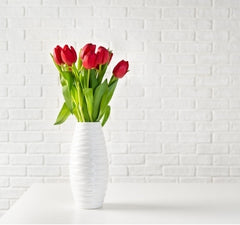 Home Decor   -  Vases  - King of Knives