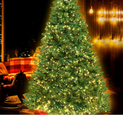 Shop By Brand - Jingle Jollys