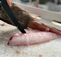 Kitchen Knives   -  Fillet Knives - King of Knives
