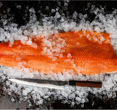 Kitchen Knives   -  Salmon Slicer  - King of Knives