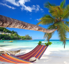Hammock