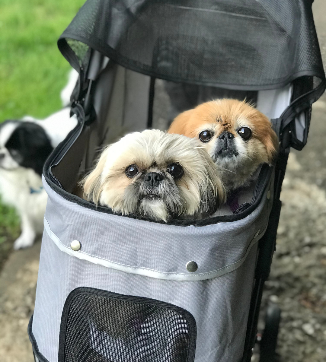 Pet Strollers