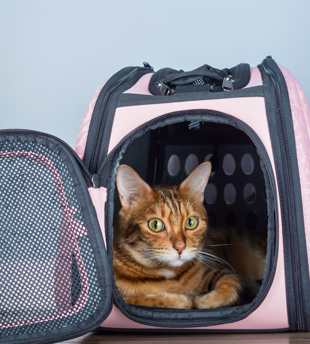 Pet Carriers