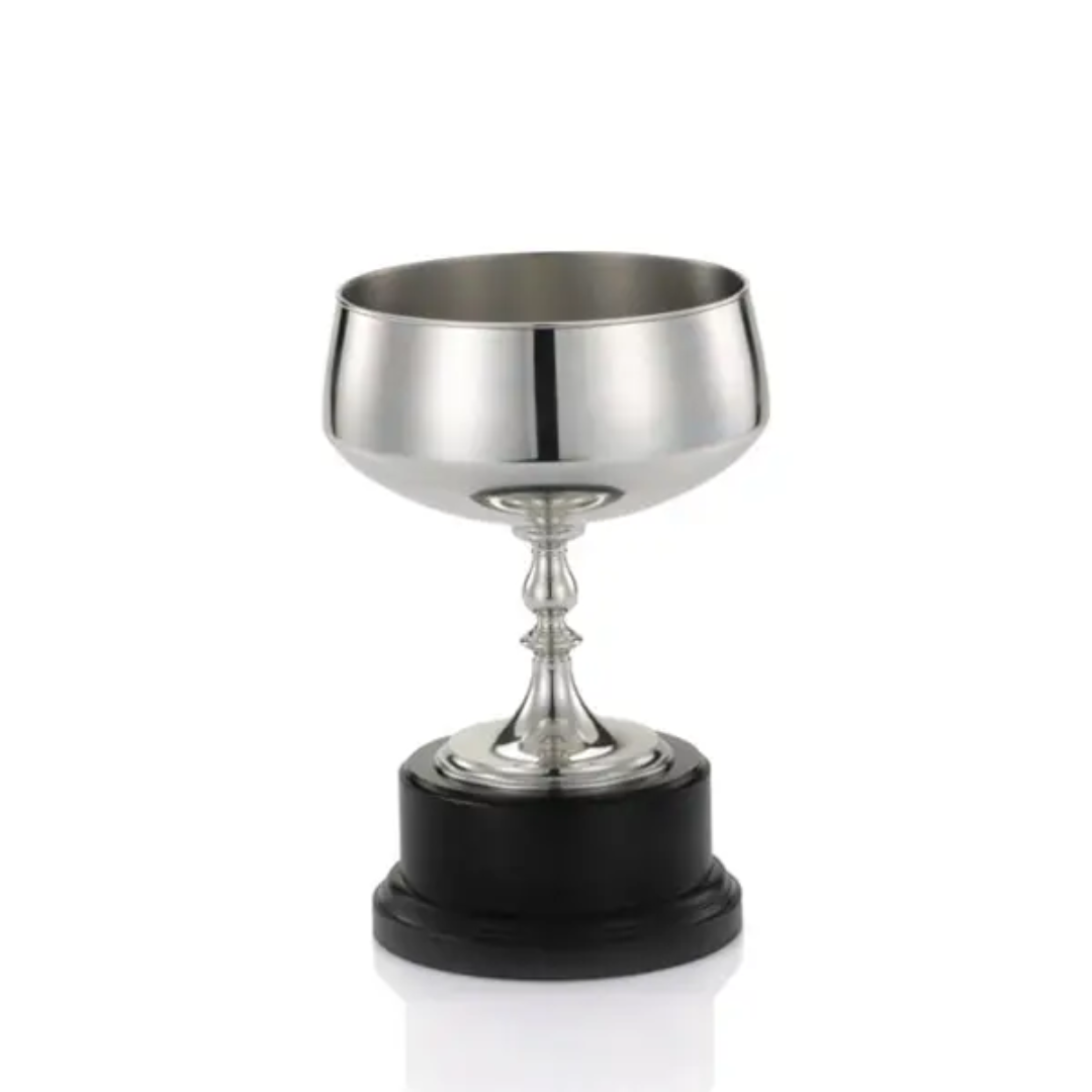 Royal Selangor Trophies Winners Cup Trophy