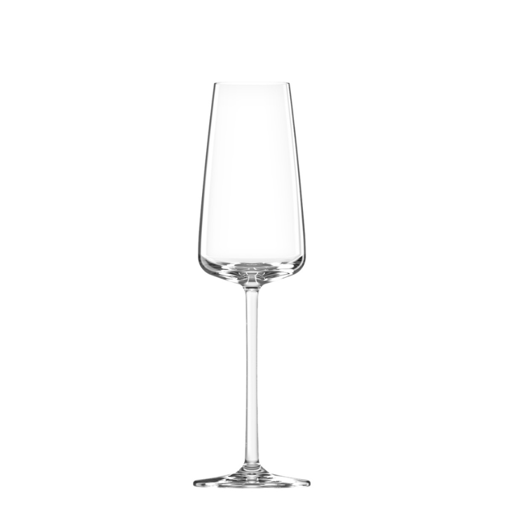 Noritake MUSE CHAMPAGNE 295 ML