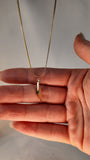Map of Israel Pendant Necklace with Crystal Accent-1