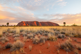 Matt Pearson Uluru Sunrise | King Of Knives Australia