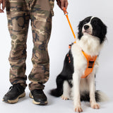 Vibe Geeks Ultimate 2-in-1 Reflective No-pull Dog Harness with Retractable Leash and Control Handle - Orange - M