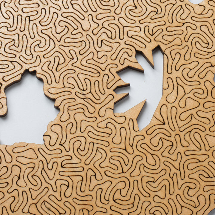 Red Algorithmic Agate Jigsaw Puzzle - 164 Unique Wooden Pieces