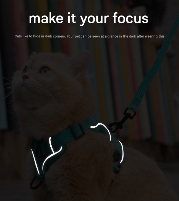 Rose Red Reflective Mesh Dog Harness and Leash Set - Adjustable No-Pull Vest - XL