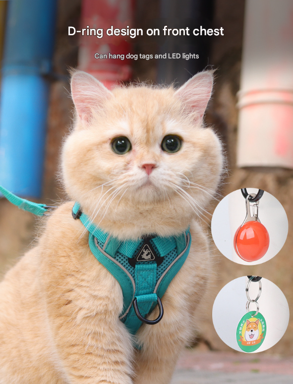 Rose Red Reflective Mesh Dog Harness and Leash Set - Adjustable No-Pull Vest - XL