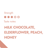 The Brew Company HONDURAS COFFEEBREWER