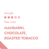 NICARAGUA SPECIALTY COFFEE BEANS