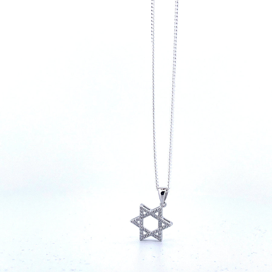 Order Israel 925 Sterling Silver Star of David Necklace-0