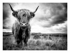 Stormy The Highland Cow Canvas Painting-0