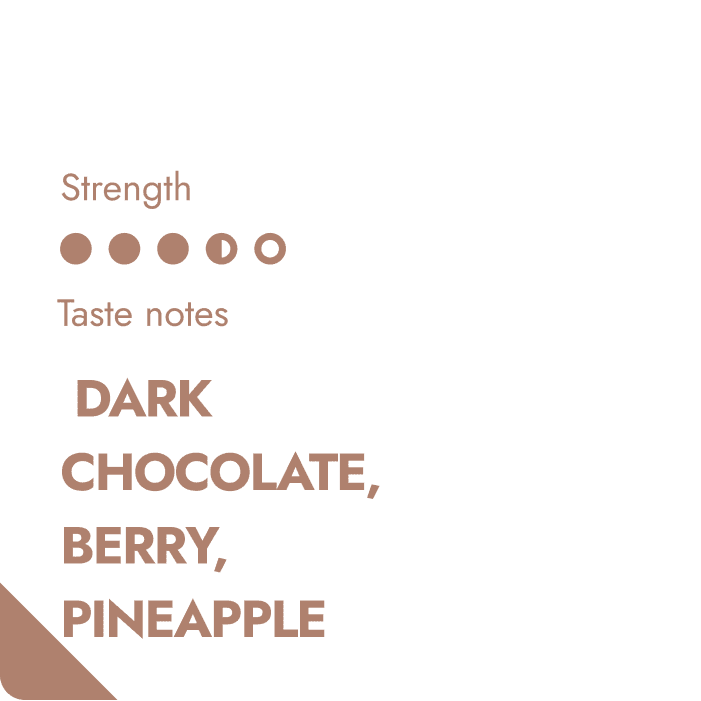 TANZANIA SPECIALTY COFFEE BEANS