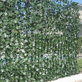 Double Sided Ivy Rolls 3m x 1m