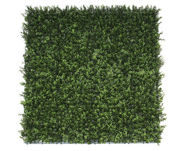 Premium Natural Buxus Hedge Panels UV Resistant 1m x 1m