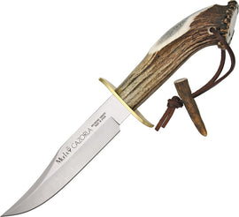 Muela Cazorla Bowie